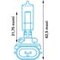 Lampadine alogene PGJ 13